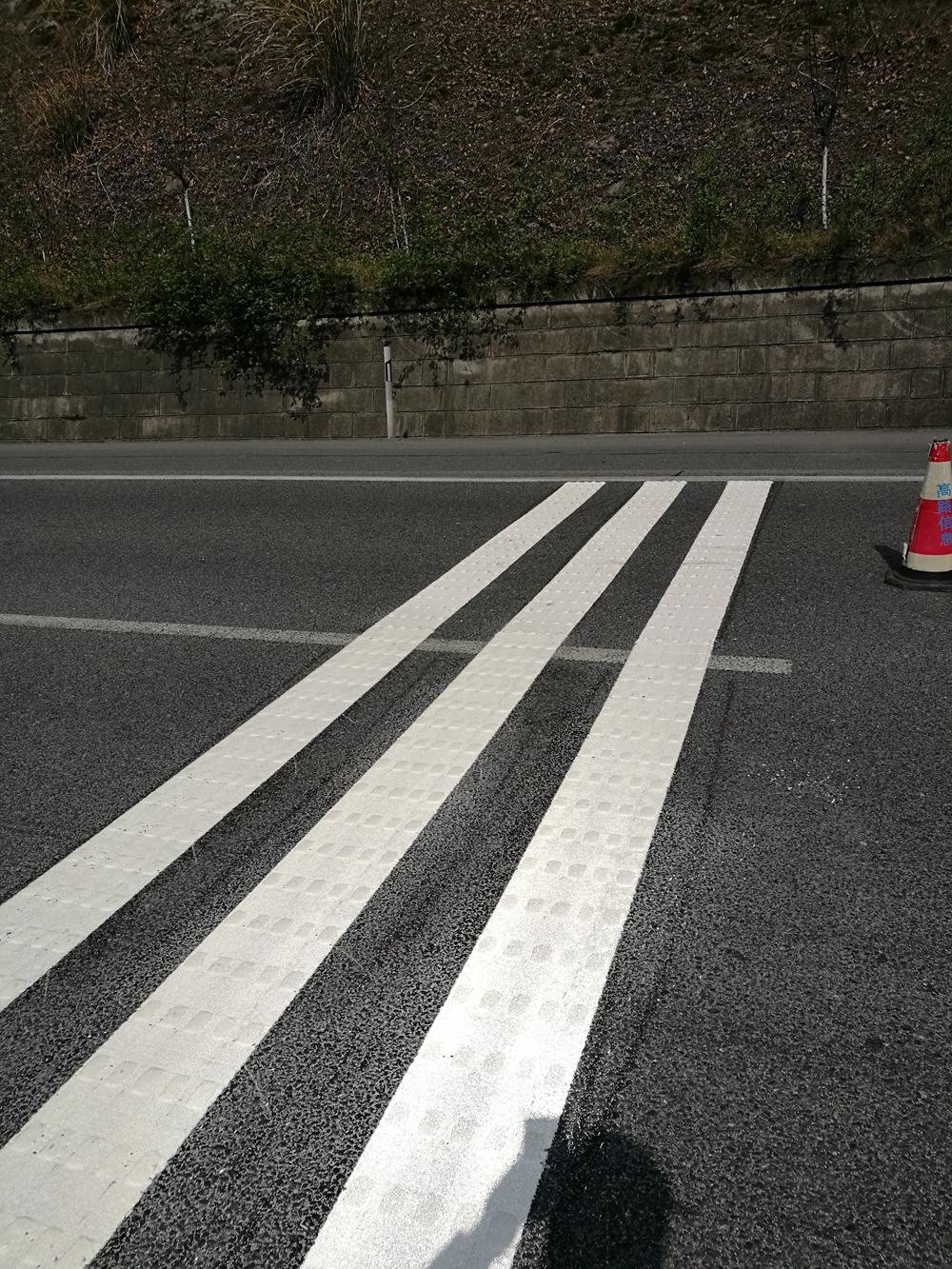 四川達(dá)州高速 (1)